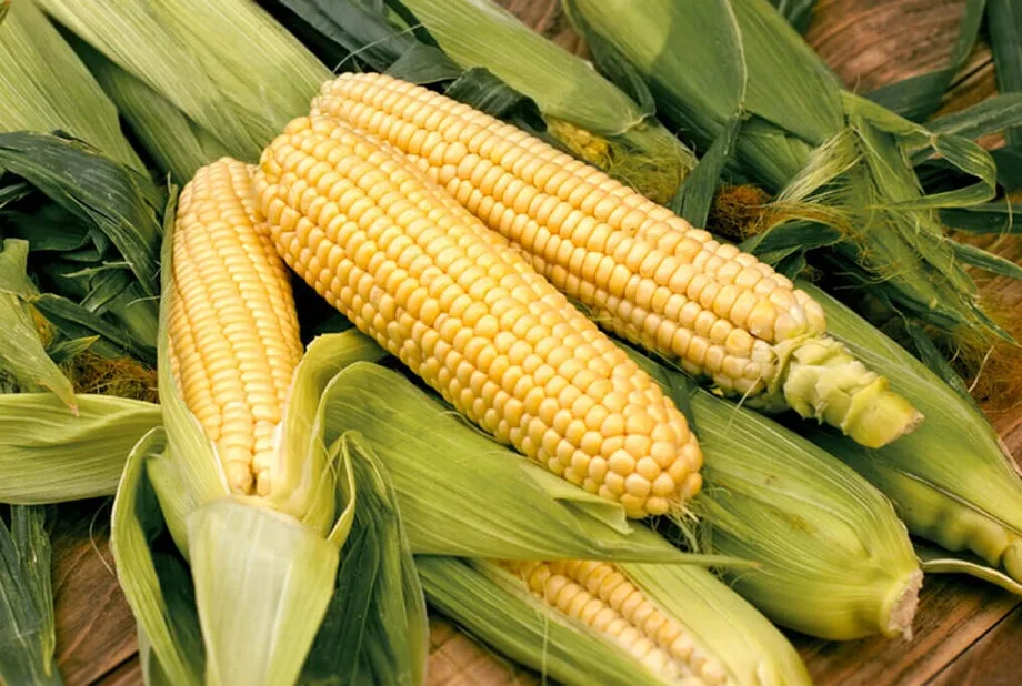 Corn, Bodacious Sweet 1/2lb - Image 2