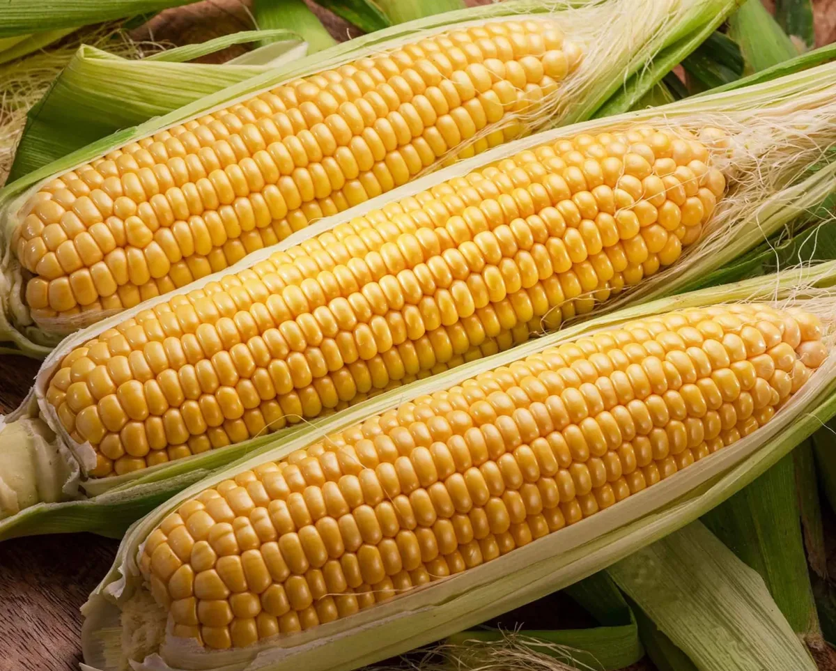 Corn, Incredible 1/2lb - Image 2