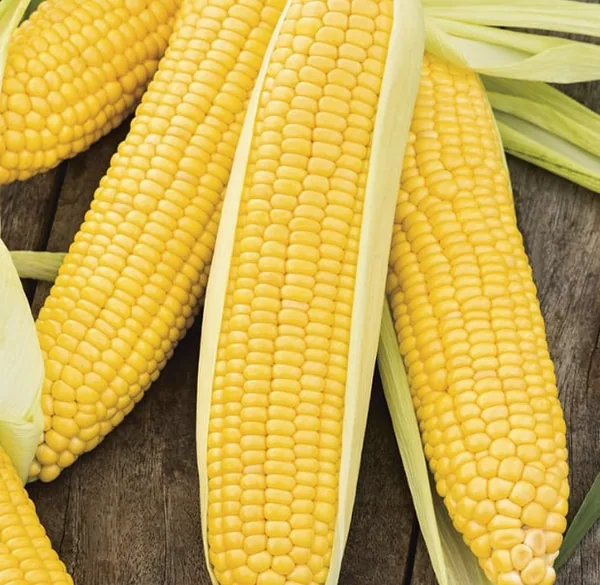 Corn, Incredible 1/2lb