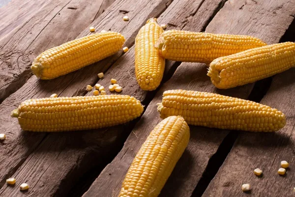 Corn, Iochief 1/2lb