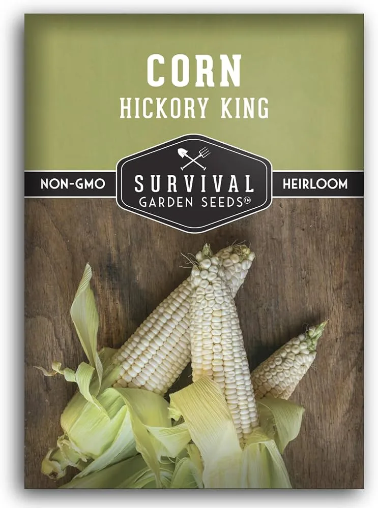 Corn, White Hickory King O.P. 1/2lb - Image 2