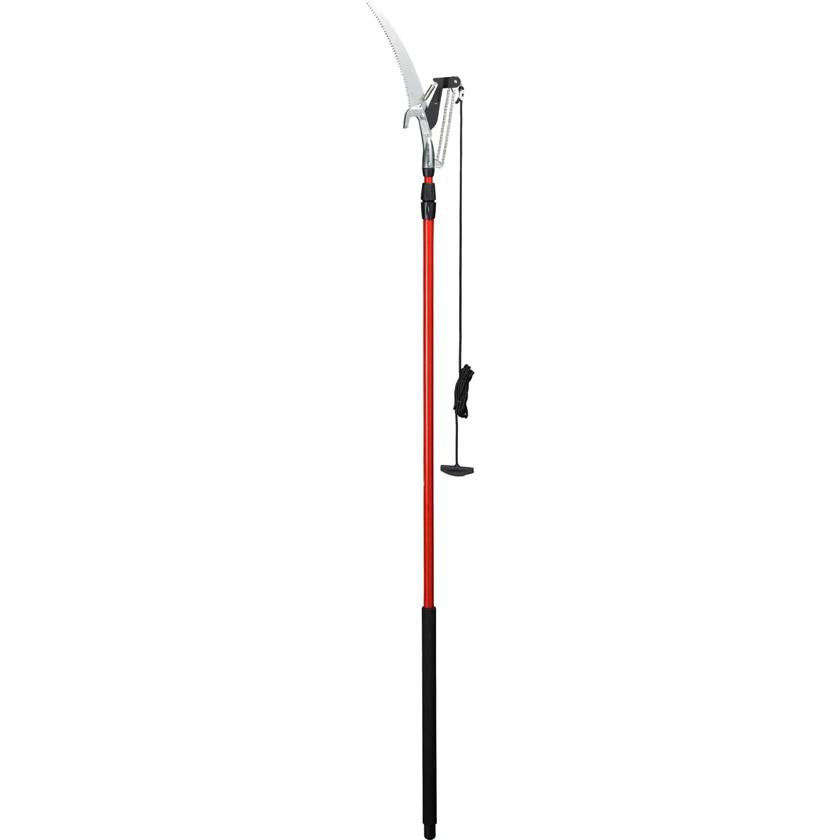 Corona Dual Compound-Action Tree Pruner