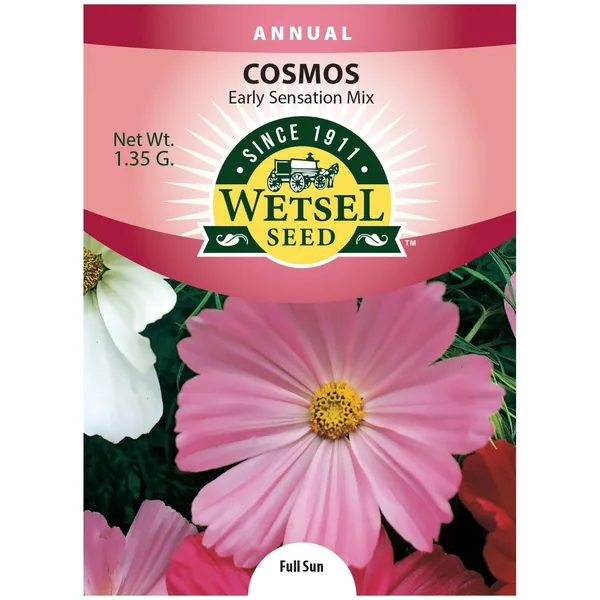 Cosmos, Early Sensation 1.35 Grams