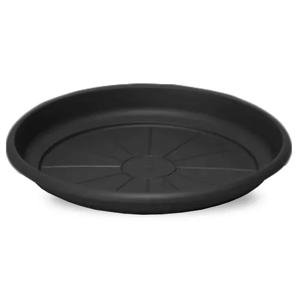Crescent 9.5" Emma Saucer Black - Image 2