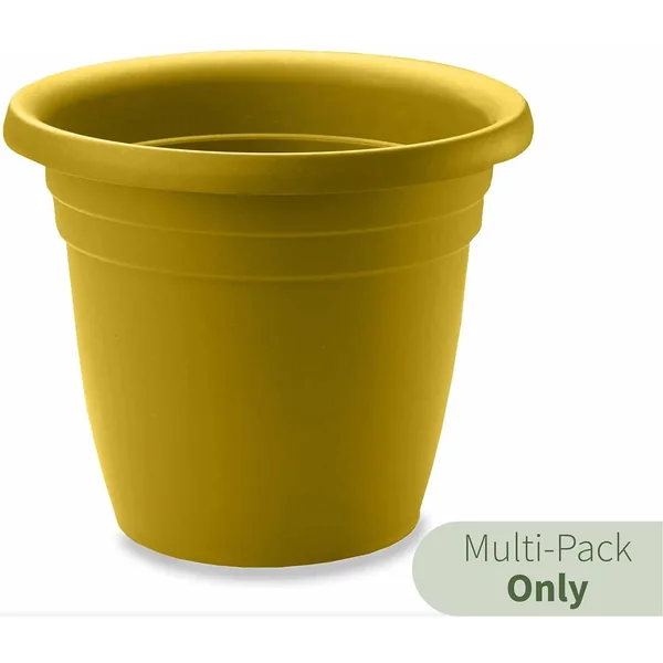 Crescent Emma Planter Sun