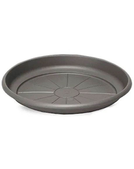 Crescent Emma Saucer Charcoal