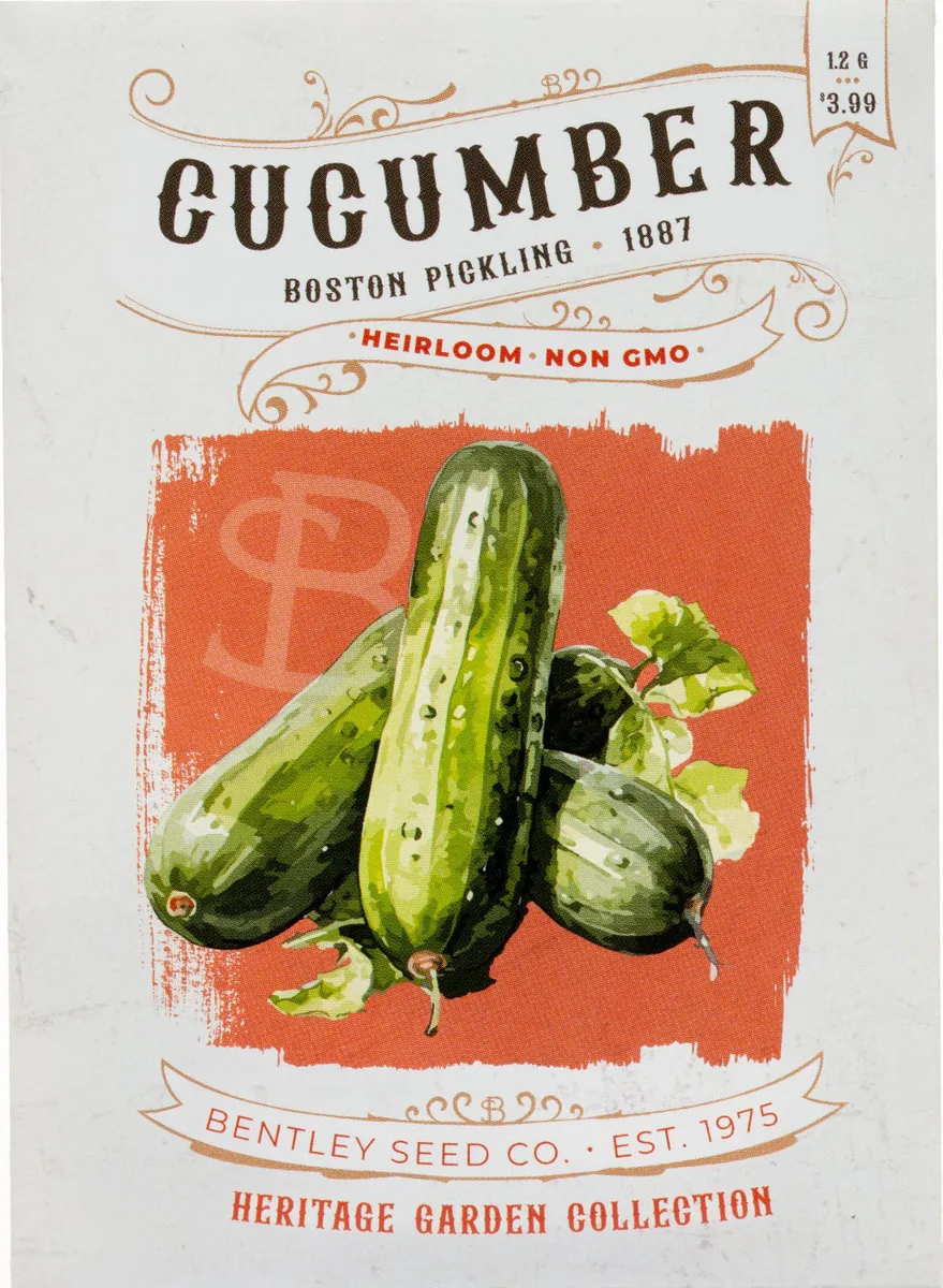 Cucumber, Boston Pickling 3 Grams - Image 2