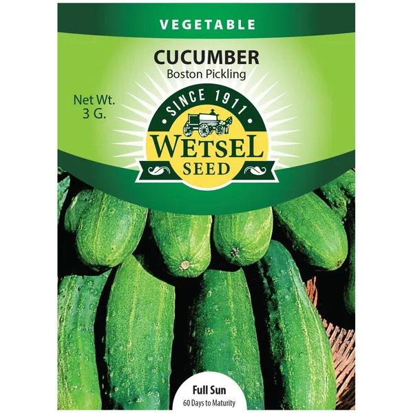 Cucumber, Boston Pickling 3 Grams