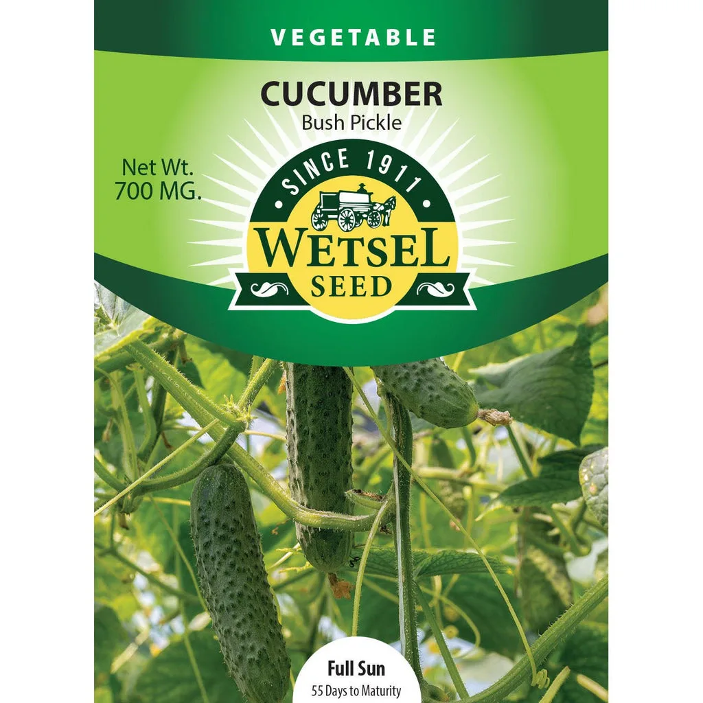 Cucumber, Bush Pickle 700mg - Image 2