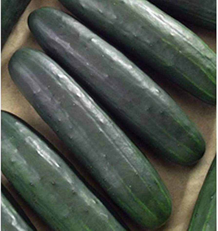 Cucumber, Dasher II 1/2oz - Image 2