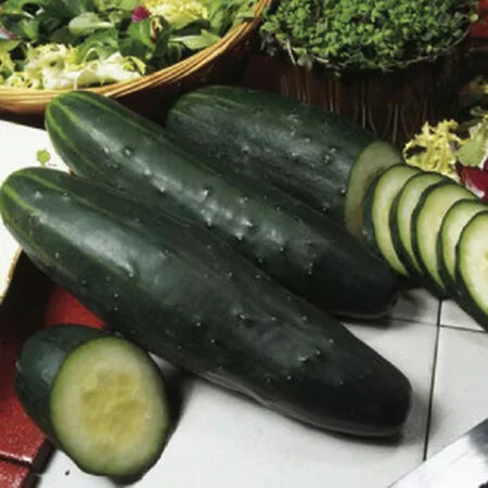Cucumber, Marketer 1lb