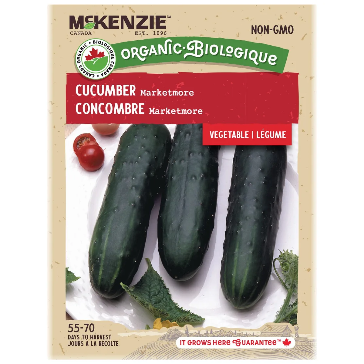 Cucumber, Marketmore 1/2oz - Image 2