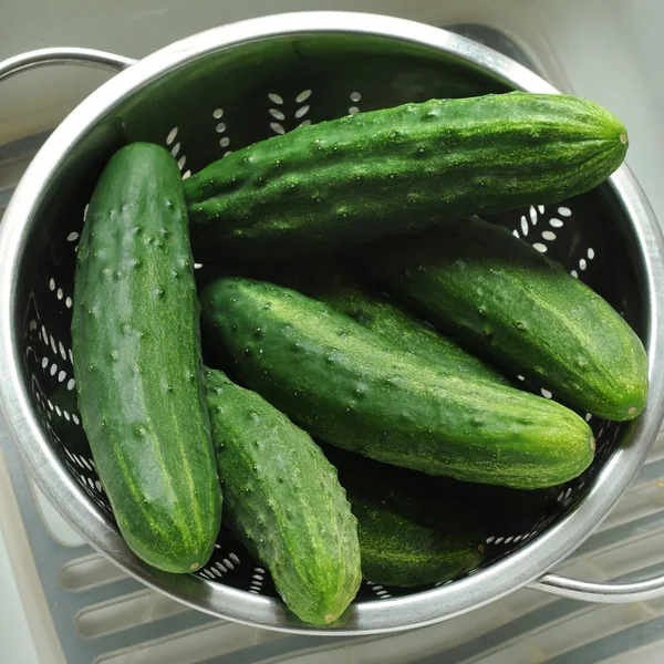 Cucumber, Patio Snacker 100 Seed Count
