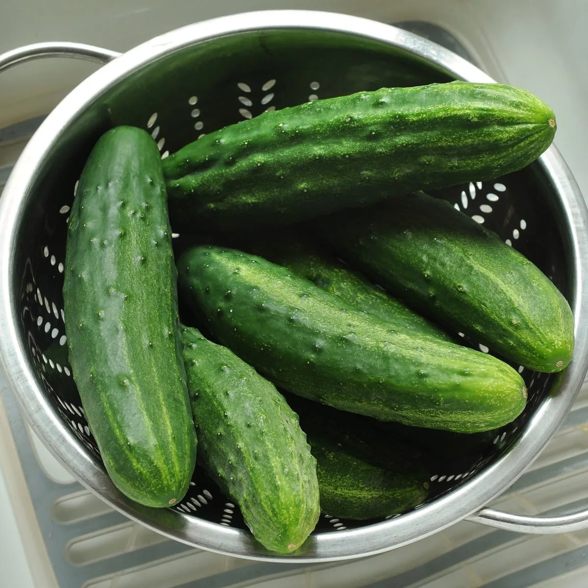 Cucumber, Patio Snacker 1000 Seed Count - Image 2