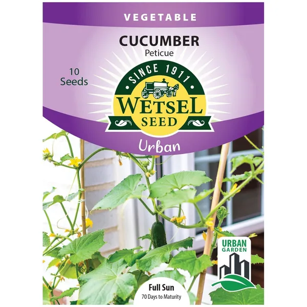 Cucumber, Peticue ( Patio ) 10 Seed Count