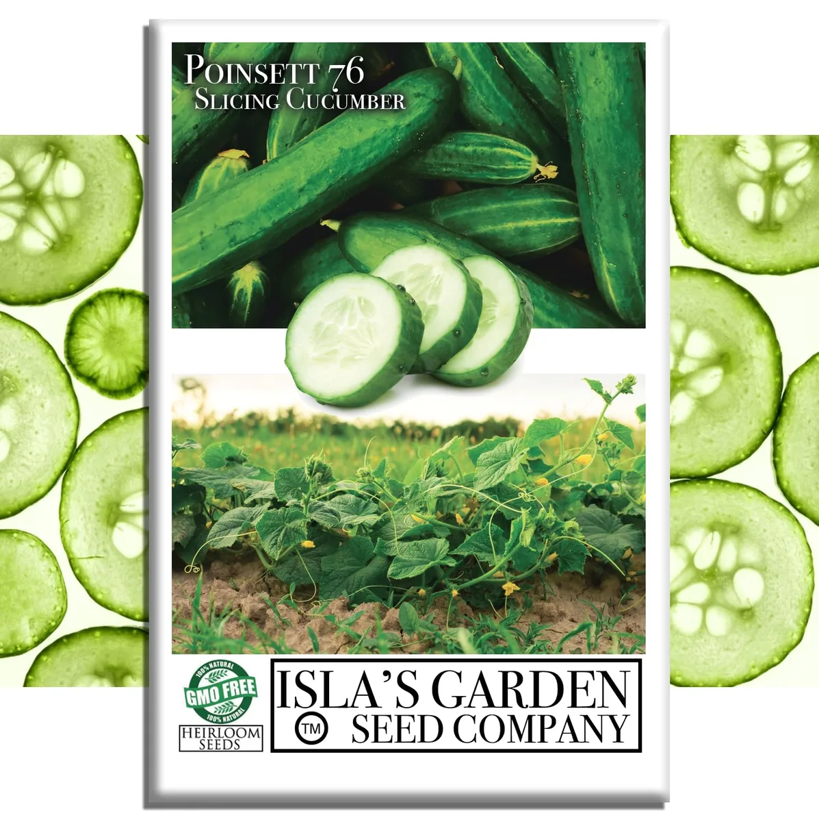 Cucumber, Poinsett 76 3 Grams - Image 2