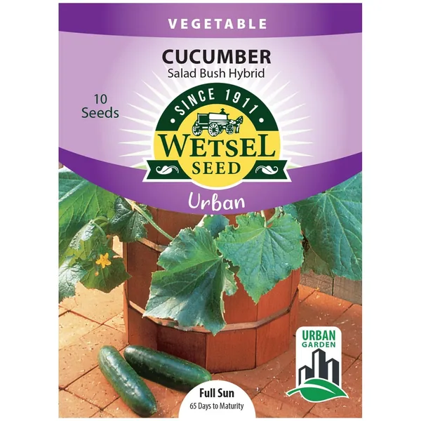 Cucumber, Salad Bush 10 Seed Count