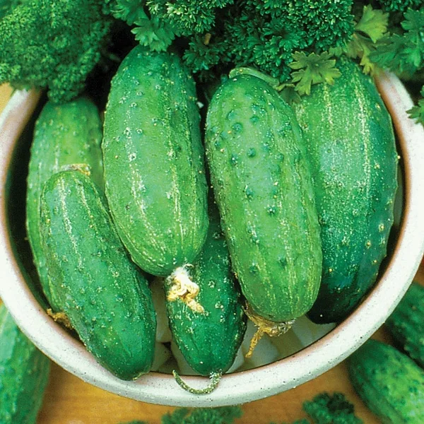 Cucumber, Smr58 1/2oz