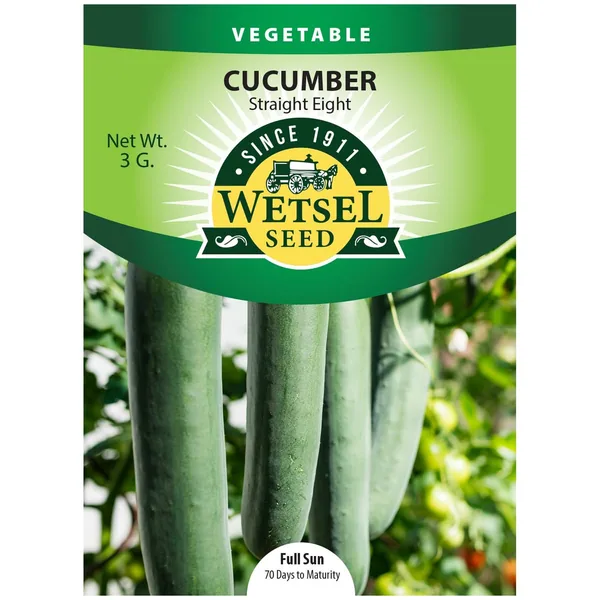 Cucumber, Straight Eight 3 Grams