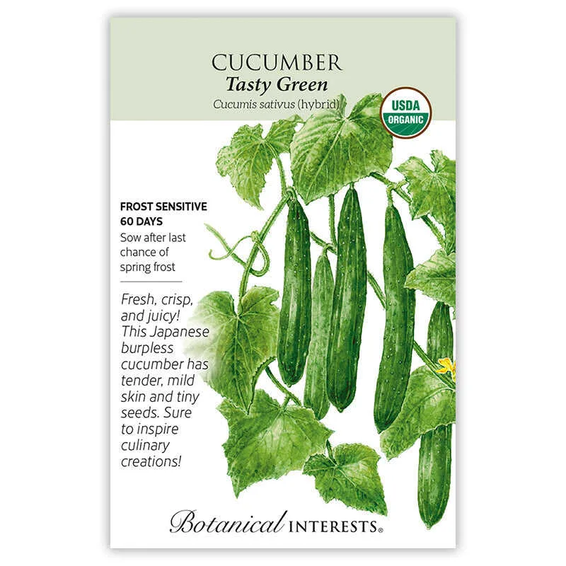 Cucumber, Tasty Green/ Burpless #26 1/2oz - Image 2