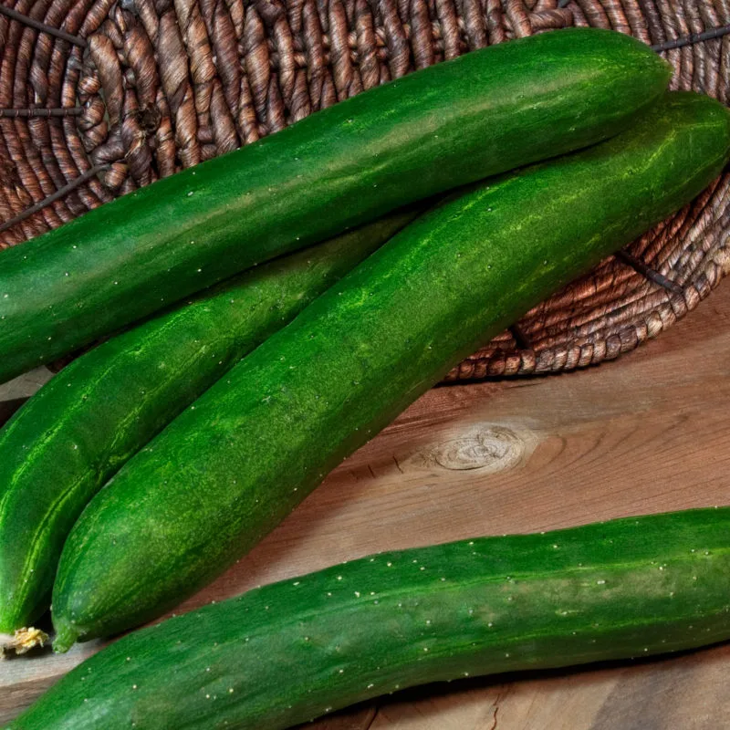Cucumber, Tasty Green/ Burpless #26 100 Seed Count - Image 2