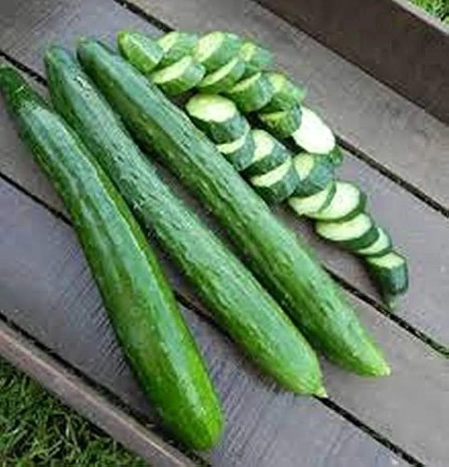 Cucumber, Tasty Green/ Burpless #26 500mg - Image 2