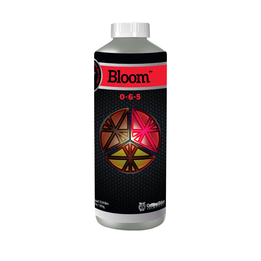 Cutting edge solutions bloom - Image 2