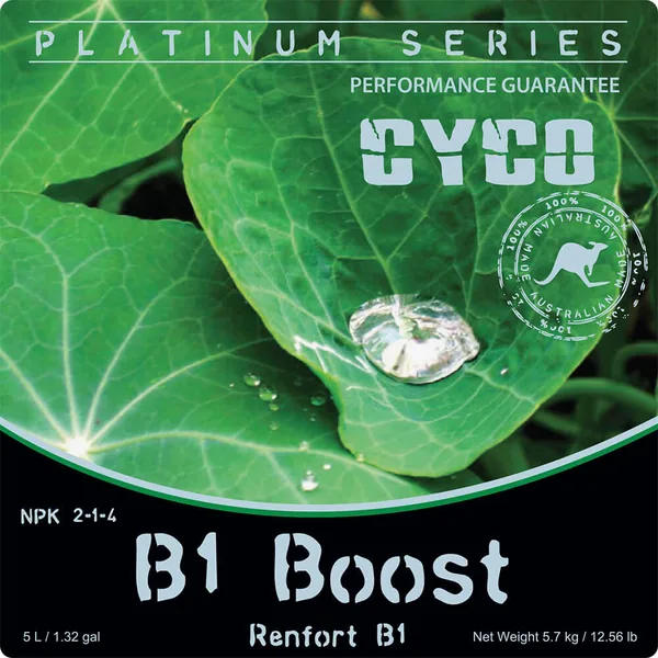 Cyco B1 Boost