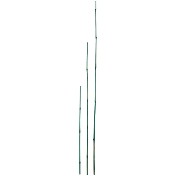 D&D Garden Green Packaged Bamboo Stakes