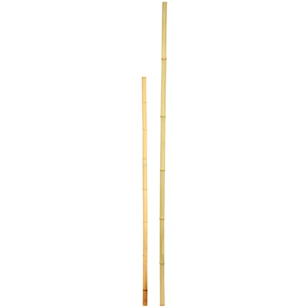 D&D Garden x1" Super Bamboo Poles