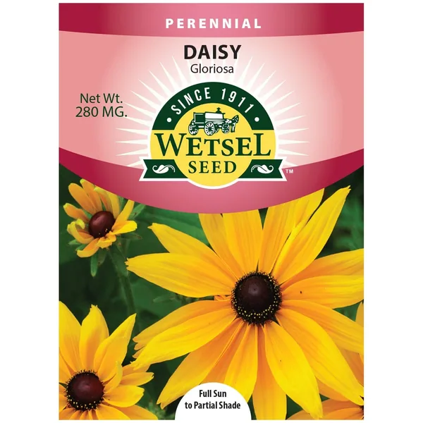 Daisy, Gloriosa Single 280mg