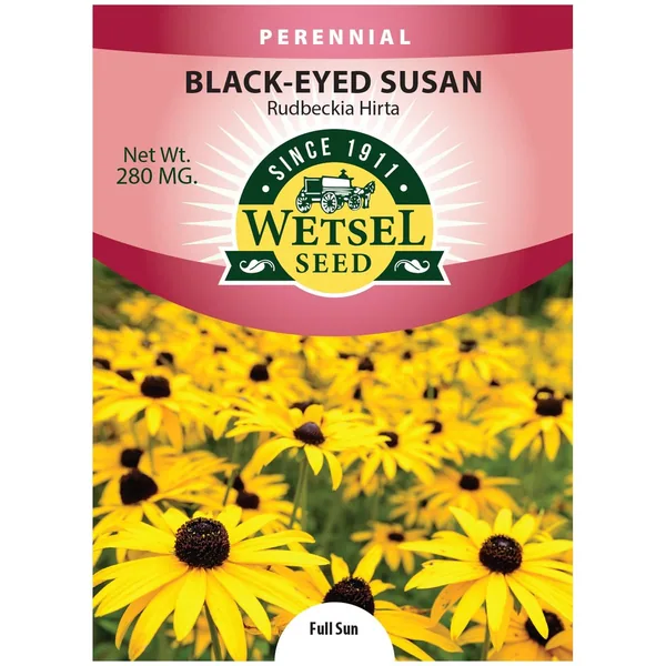 Daisy, Rudbeckia Hirta 280mg