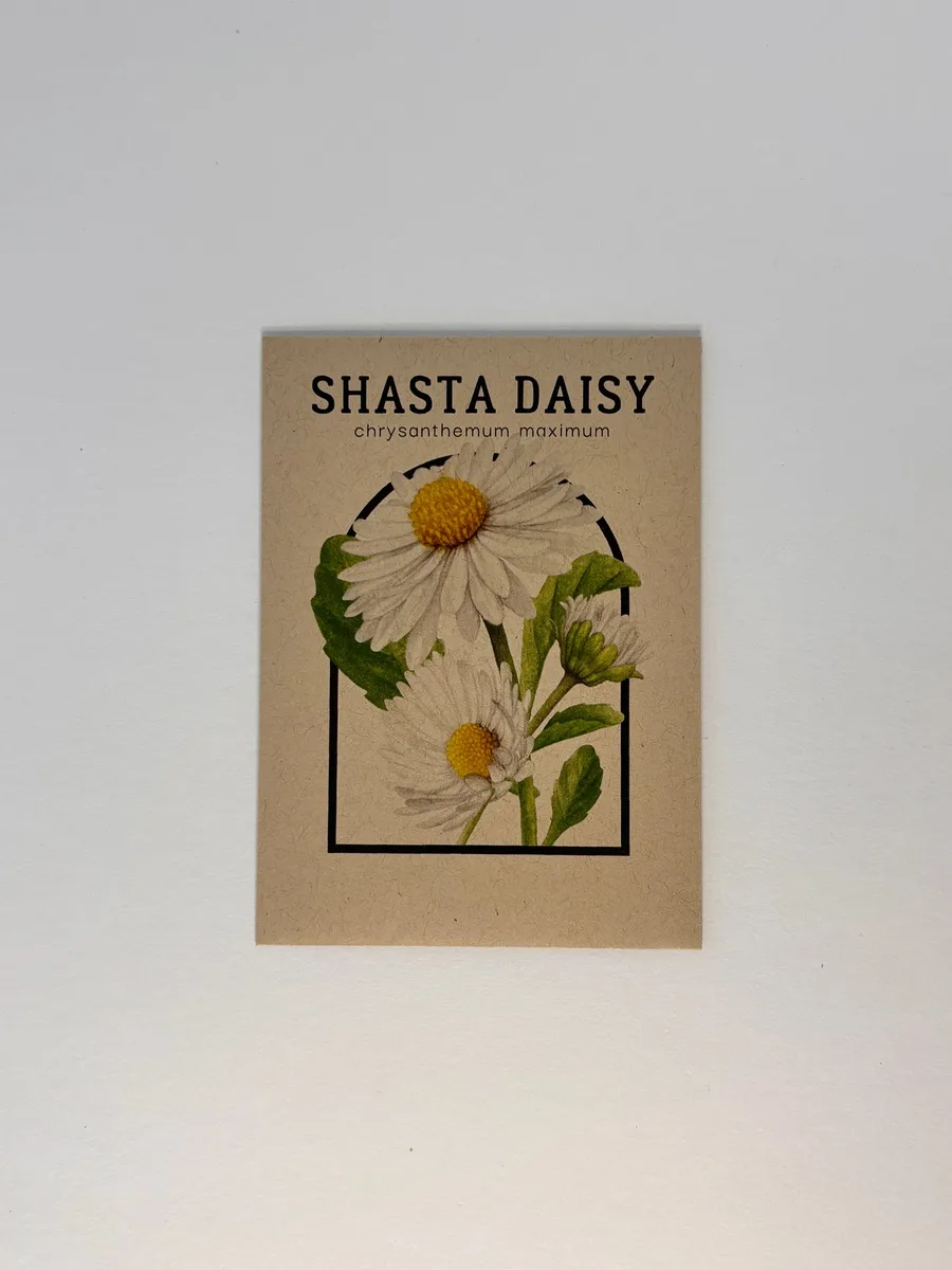 Daisy, Shasta Single 280mg - Image 2