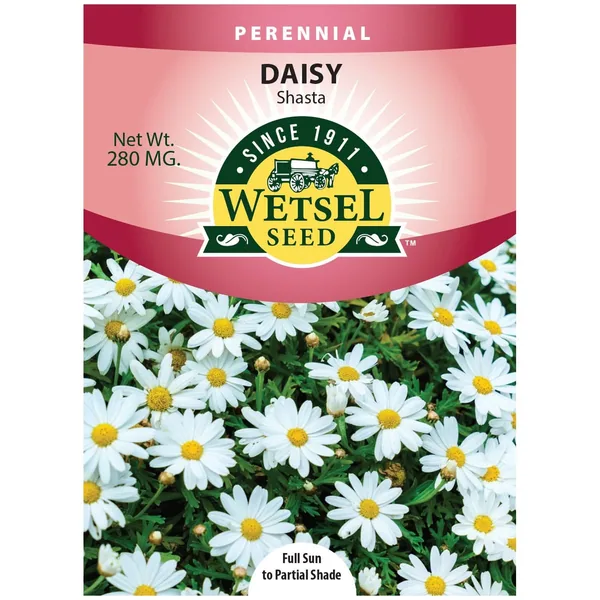 Daisy, Shasta Single 280mg