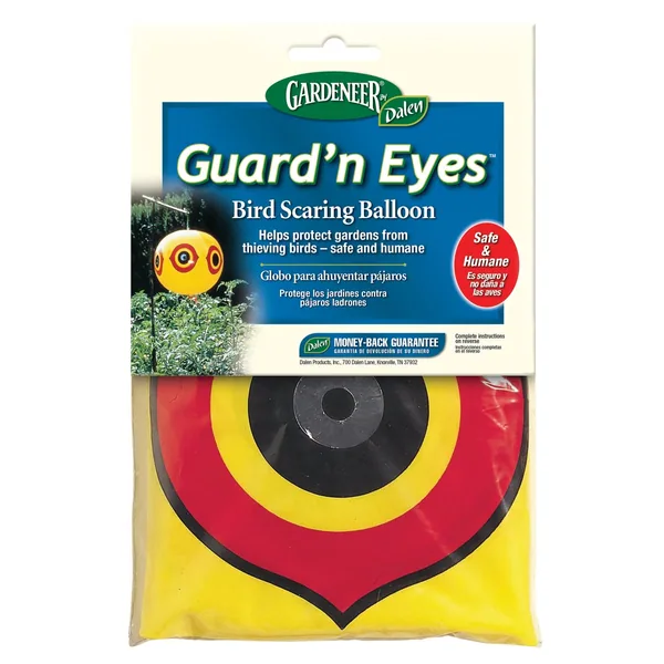 Dalen Guard’n Eyes
