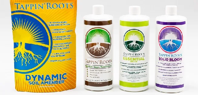 Dandelion Enterprises Tappin Roots 32oz Solid Bloom - Image 2