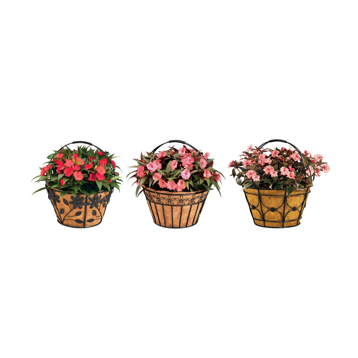 Deer Park Ironworks Basket Variety Pack