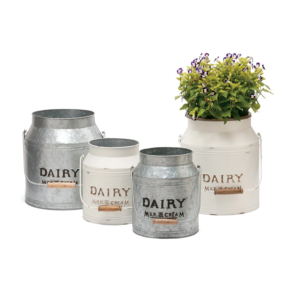 Deer Park Ironworks Dairy Jug Planter Variety Pack
