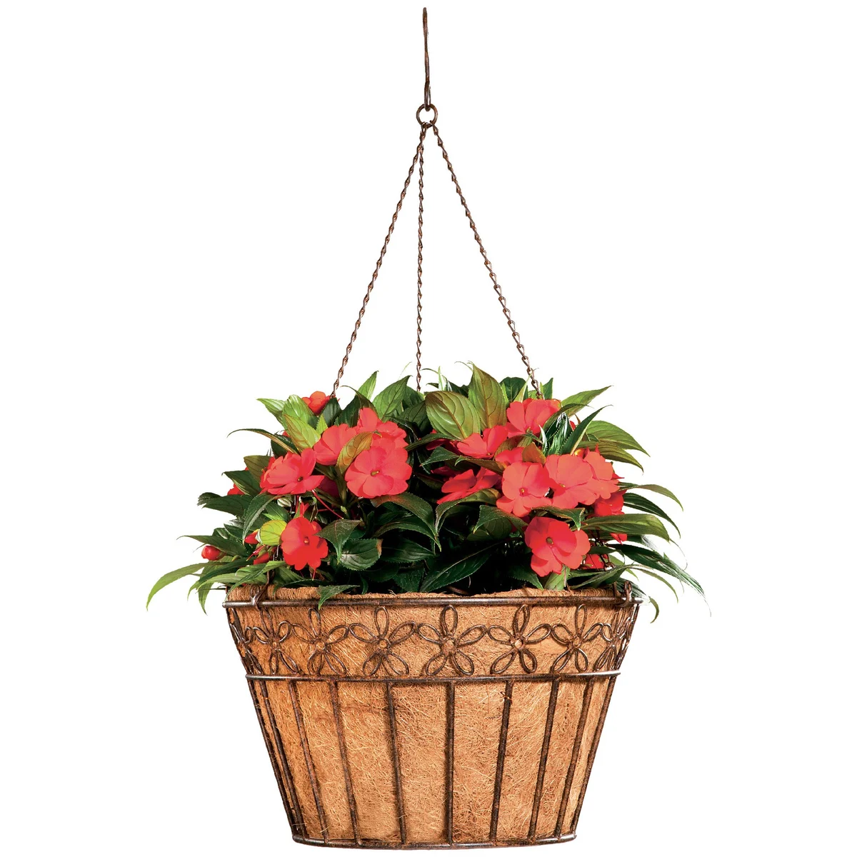 Deer Park Ironworks Daisy Ribbon Hanging Basket