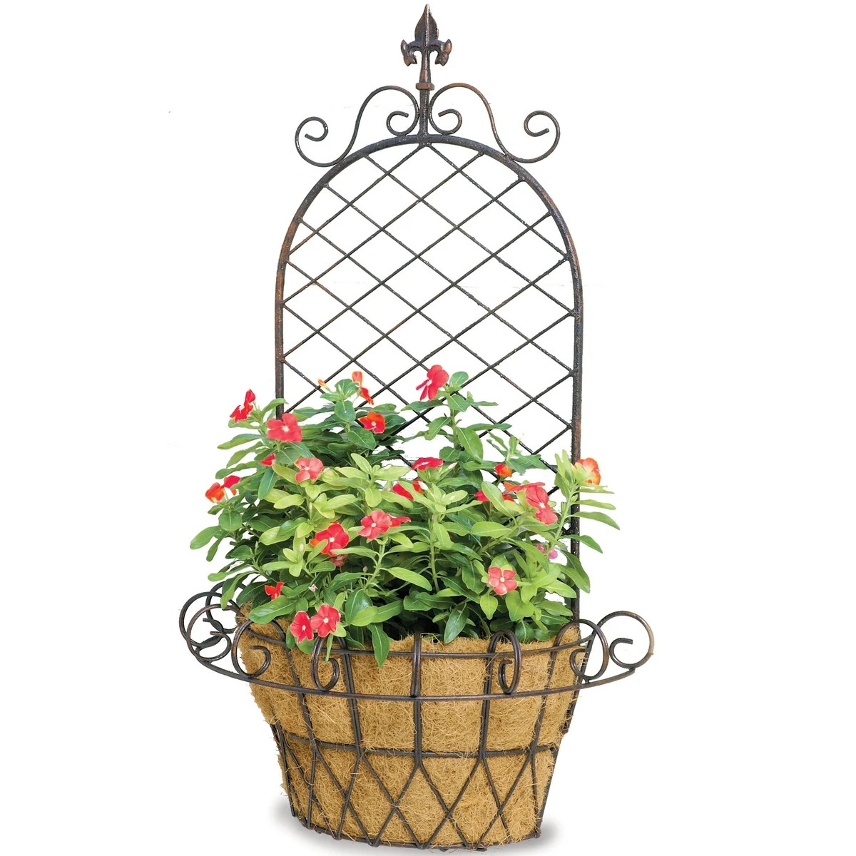 Deer Park Ironworks Finial "X" Wall Basket