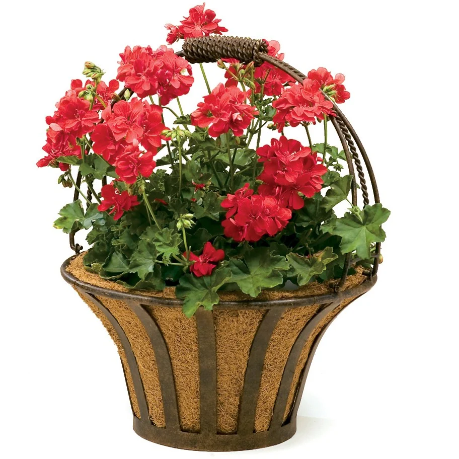 Deer Park Ironworks Solera Basket