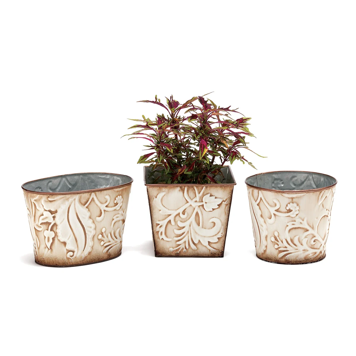 Deer Park Ironworks Venetian Variety Pack