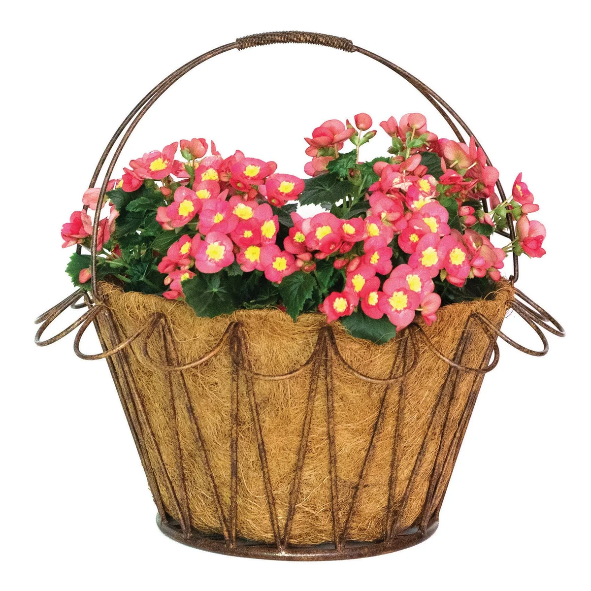 Deer Park Ironworks Wave Basket with Coco Liner