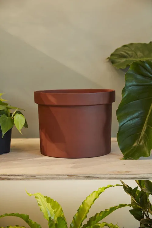 Deroma 11.8" Cabo Terra Cotta Clay Planter - Image 2