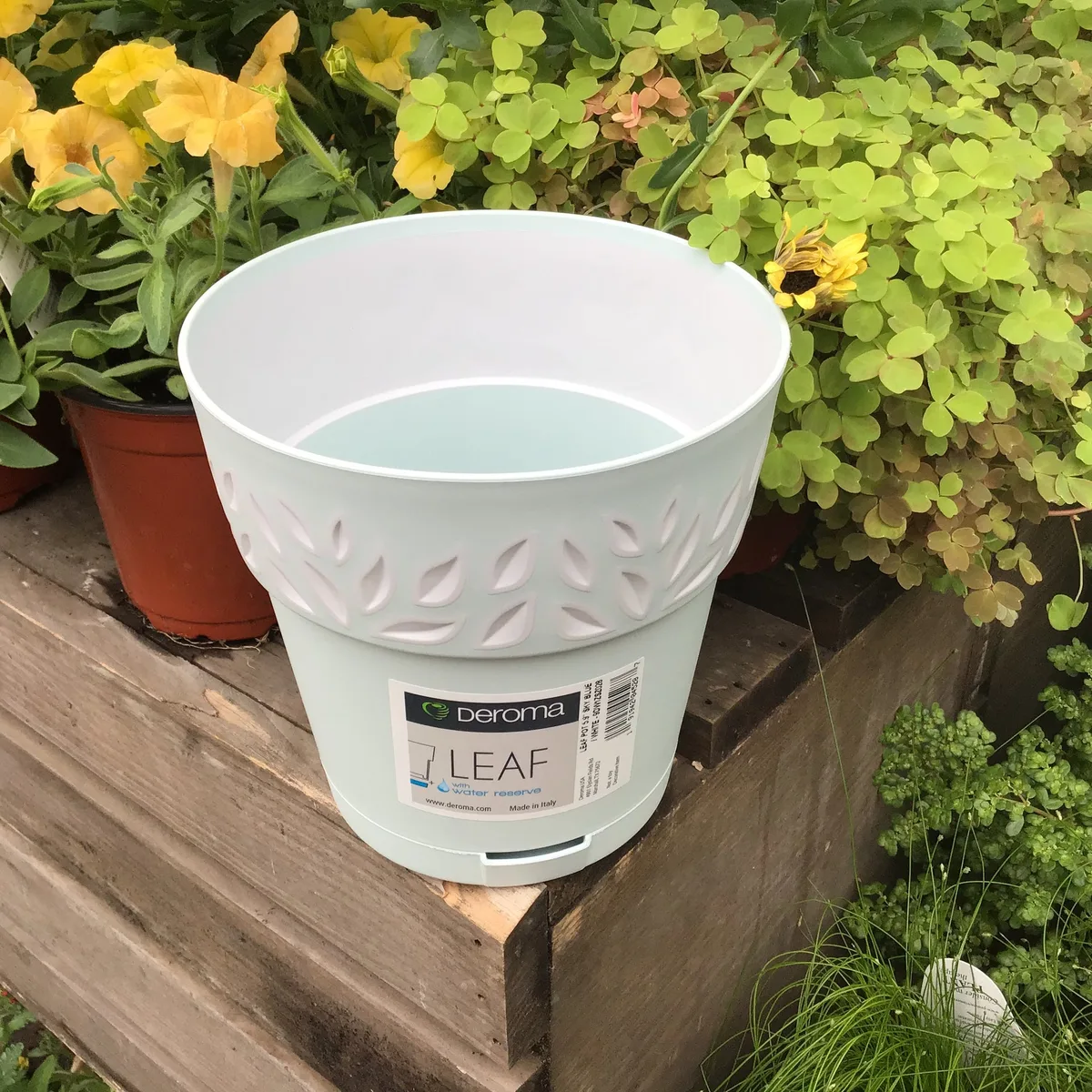 Deroma 11.8" Leaf Pot Premium Plastic Sky Blue - Image 2