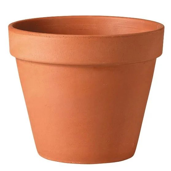 Deroma 12.2" Standard Terra Cotta Clay Pot