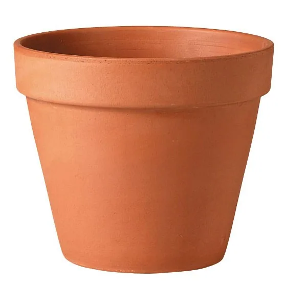Deroma 16.9" Standard Terra Cotta Clay Pot