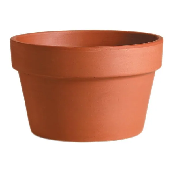 Deroma 8.3" Azalea Terra Cotta Clay Pot