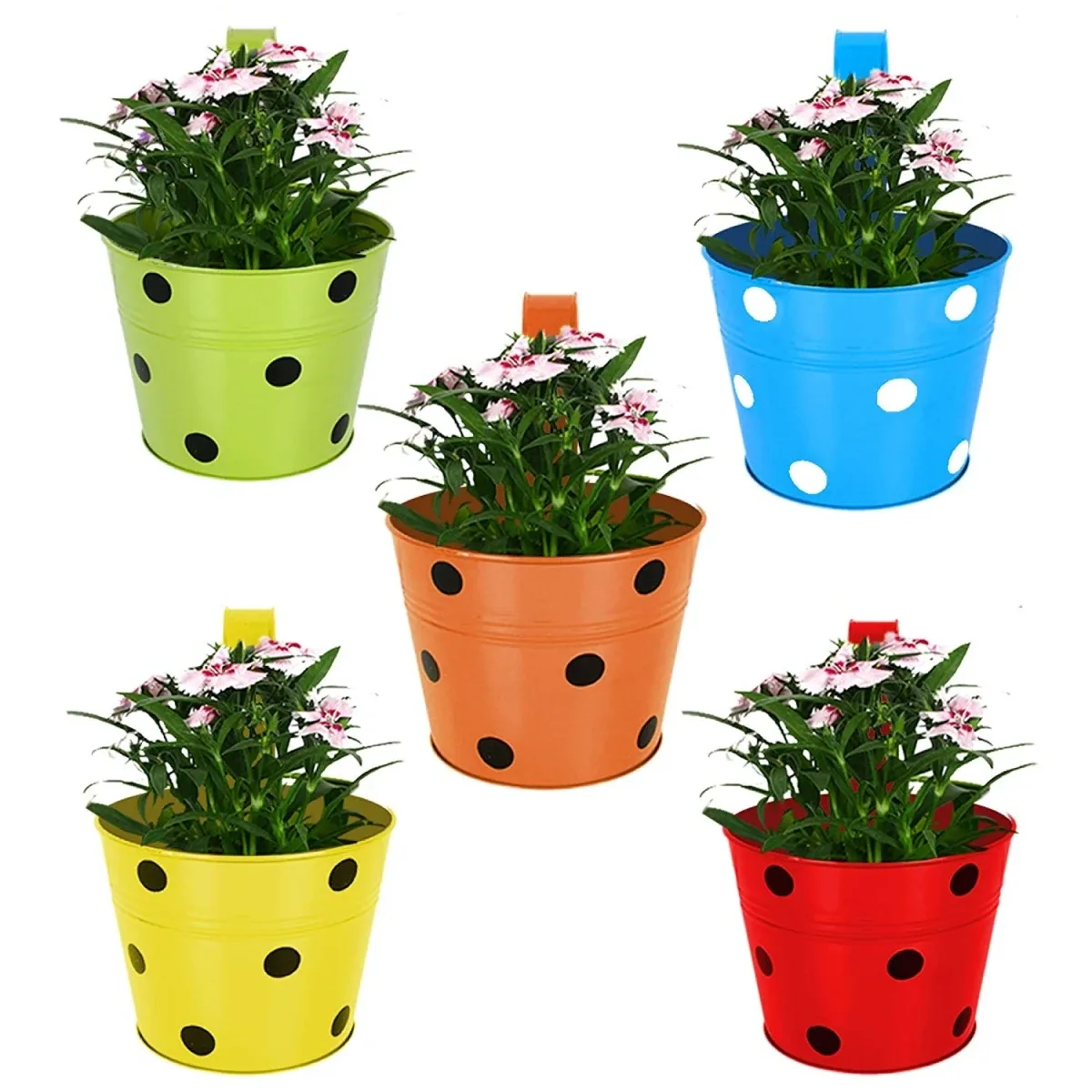 Deroma 8.3" Vasum Duo Graphite Clay Pot - Image 2