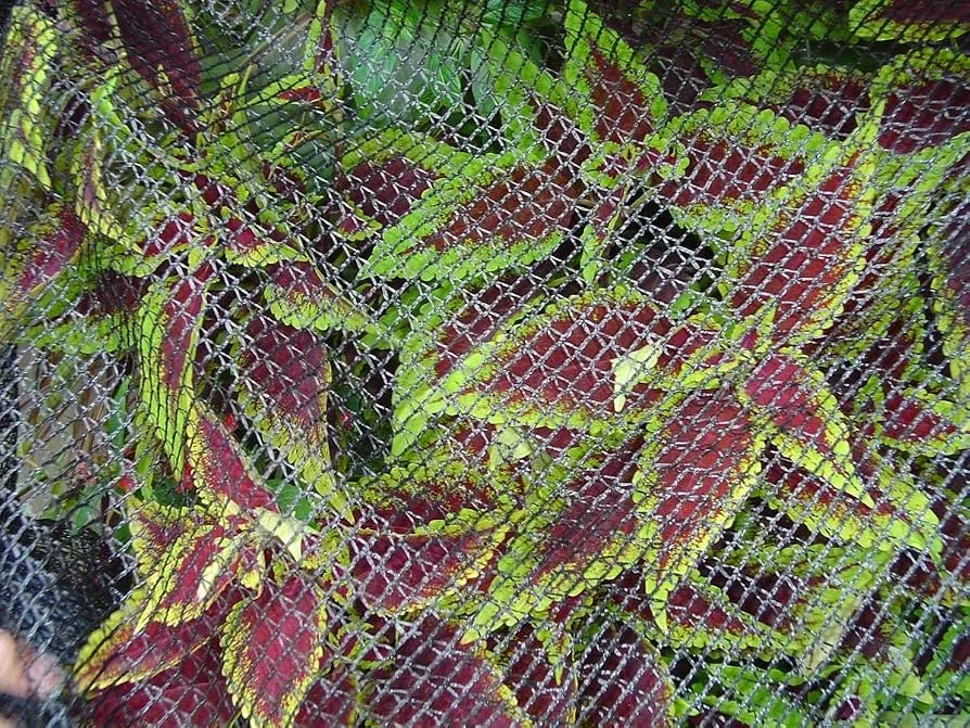 Dewitt 14'x45' Bird & Pond Netting - Image 2